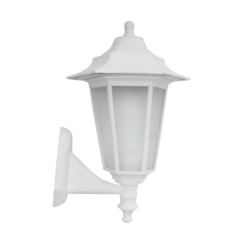 Premium BEGONYA2 WHITE