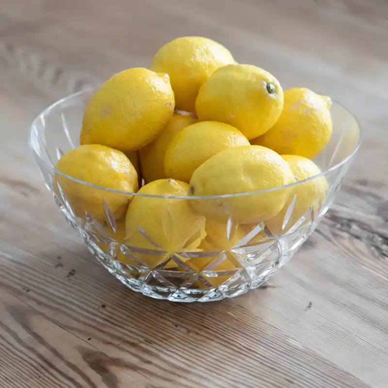 Zamów dziś SAGAFORM Outdoor Eating 26 cm - misa na owoce akrylowa