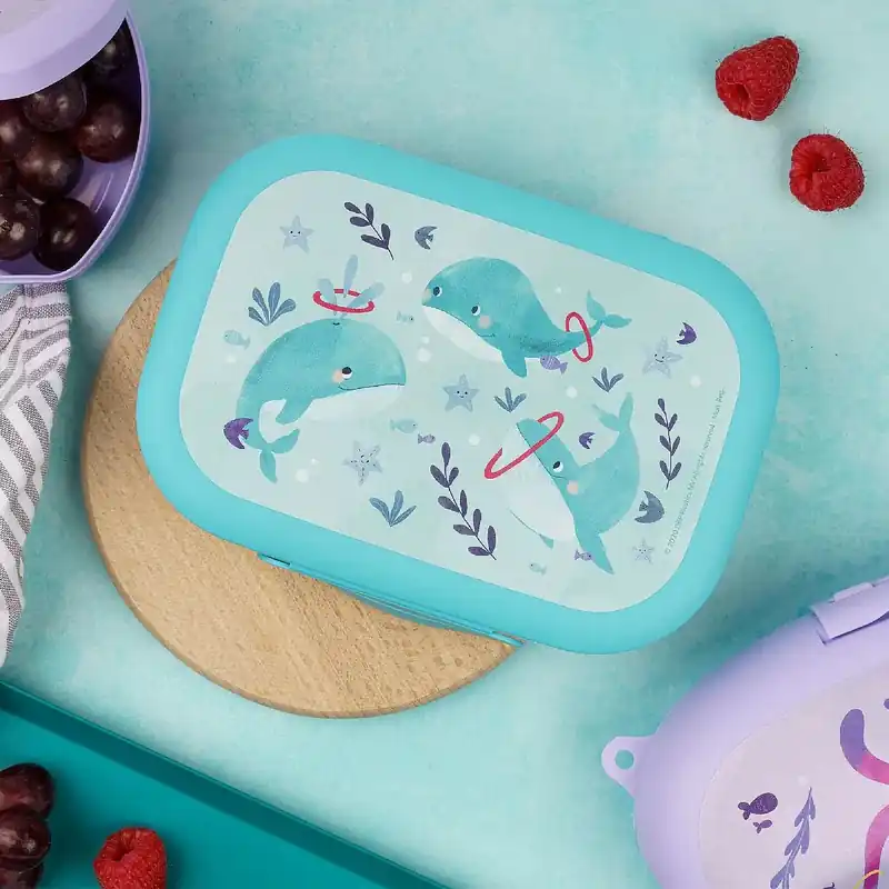 Wysoka jakość Lunch box / Śniadaniówka dla dzieci AMUSE SEALIFE
