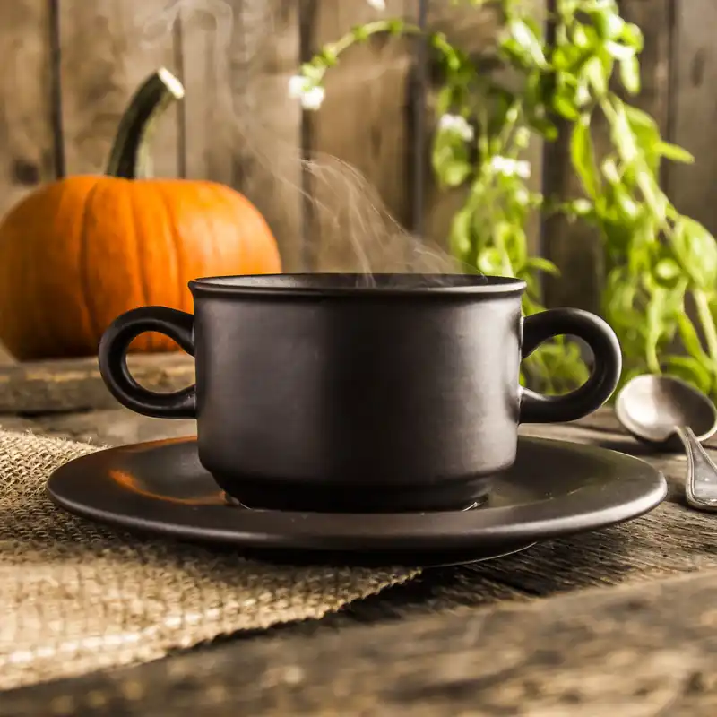 Bulionówka 260 ml - wzór BR - Zakłady Ceramiczne w Bolesławcu Niska cena