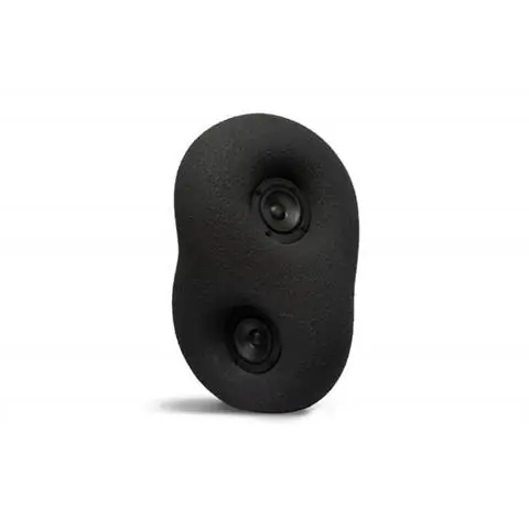 Nowość TRANSPARENT SPEAKERS |GŁOSNIK AKUSTYCZNA RZEŹBA CZANY