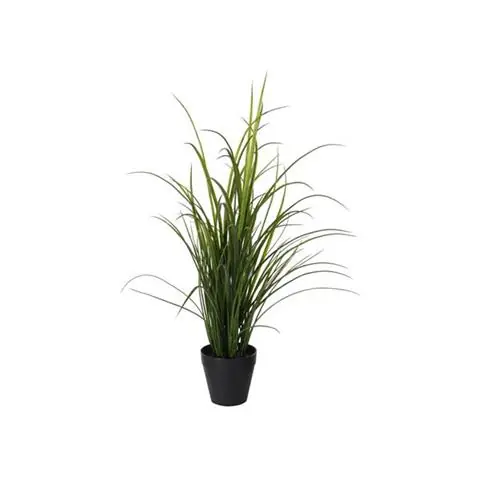 TRAWA W DONICZCE 65 CM | SPENSEN Hit sprzedaży